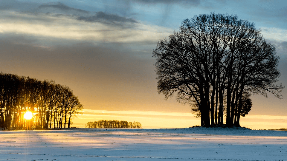 Low sunlight levels winter