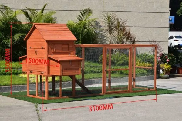 The Eggland Chicken Coop – 6-9 Birds - Natural Wood