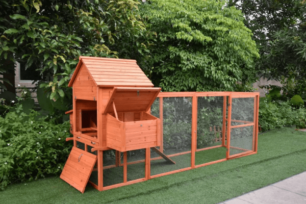 The Eggland Chicken Coop – 6-9 Birds - Natural Wood