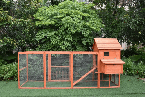 The Eggland Chicken Coop – 6-9 Birds - Natural Wood