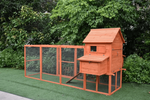 The Eggland Chicken Coop – 6-9 Birds - Natural Wood