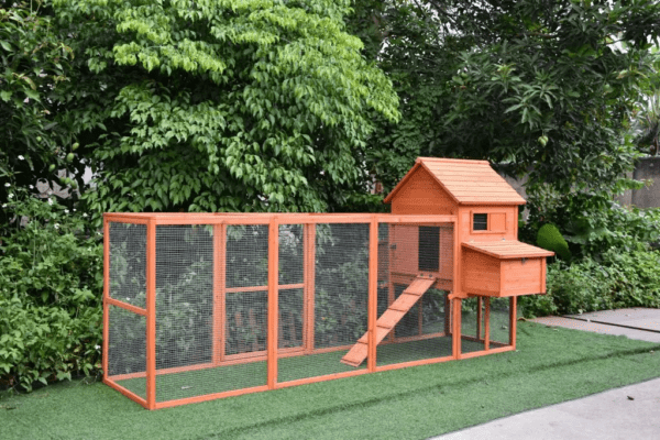 The Eggland Chicken Coop – 6-9 Birds - Natural Wood