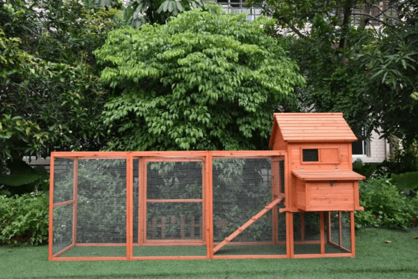 The Eggland Chicken Coop – 6-9 Birds - Natural Wood