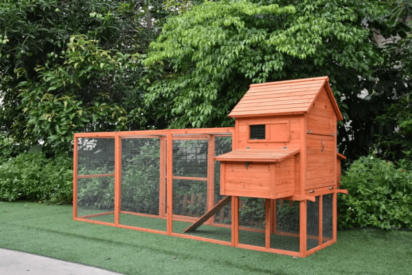 The Eggland Chicken Coop – 6-9 Birds - Natural Wood