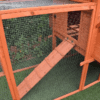 The Eggland Chicken Coop – 6-9 Birds - Natural Wood