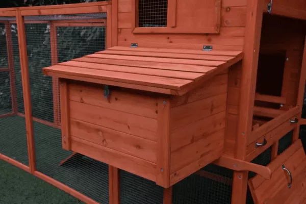 The Eggland Chicken Coop – 6-9 Birds - Natural Wood