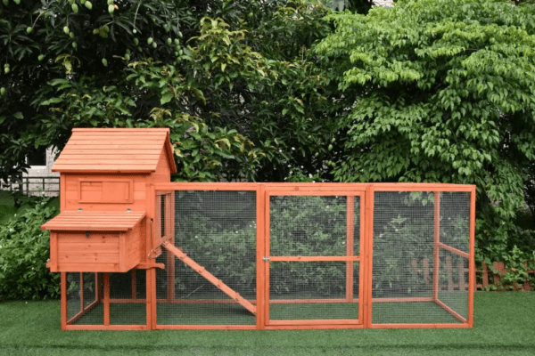 The Eggland Chicken Coop – 6-9 Birds - Natural Wood