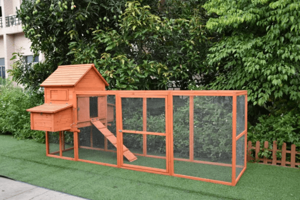 The Eggland Chicken Coop – 6-9 Birds - Natural Wood