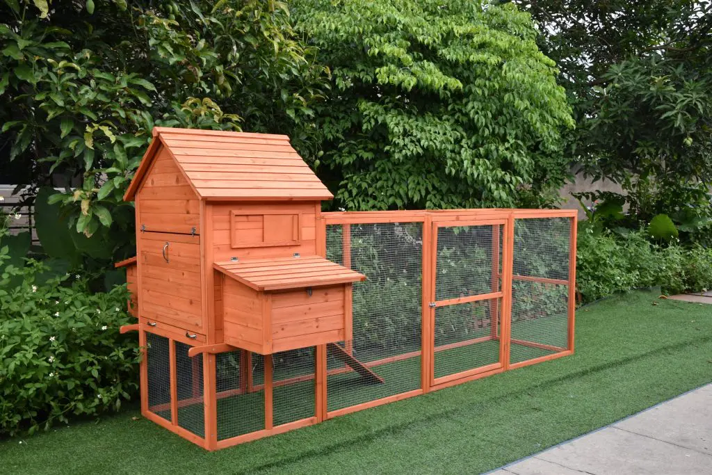 The Eggland Chicken Coop – 6-9 Birds - Natural Wood