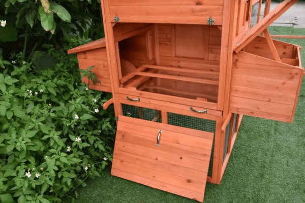 The Eggland Chicken Coop – 6-9 Birds - Natural Wood