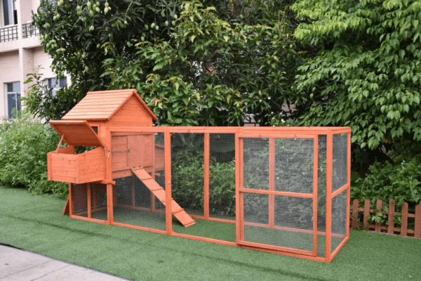 The Eggland Chicken Coop – 6-9 Birds - Natural Wood