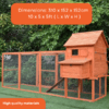 The-Eggland-Chicken-Coop-–-6-9-Birds-