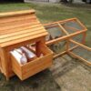 Large Chicken Coop – 9-12 Birds - Natural Wood - Pre Order