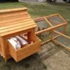 Large Chicken Coop – 9-12 Birds - Natural Wood - Pre Order