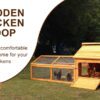 Large Chicken Coop – 9-12 Birds - Natural Wood - Pre Order