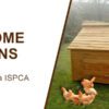 Large Chicken Coop – 9-12 Birds - Natural Wood - Pre Order