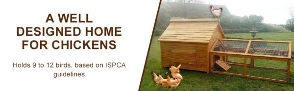 Large Chicken Coop – 9-12 Birds - Natural Wood - Pre Order