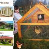 Large Chicken Coop – 9-12 Birds - Natural Wood - Pre Order