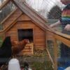 Large Chicken Coop – 9-12 Birds - Natural Wood - Pre Order