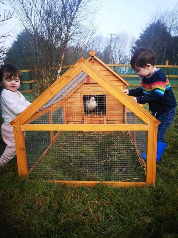 Large Chicken Coop – 9-12 Birds - Natural Wood - Pre Order