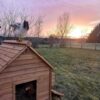 Large Chicken Coop – 9-12 Birds - Natural Wood - Pre Order