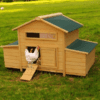 Chicken Coop