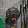 Rubber-Bumper-Plates-With-Colour-Stripe