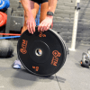 Rubber-Bumper-Plates-With-Colour-Stripes