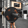 Rubber-Bumper-Plates-With-Colour-Stripes