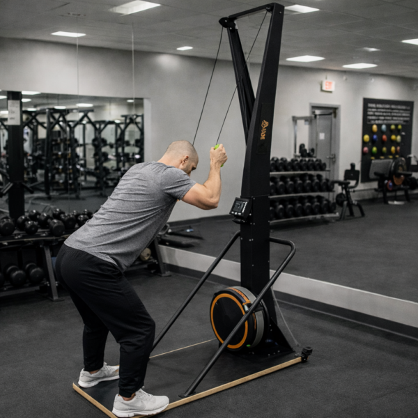 Ski Trainer with Stand