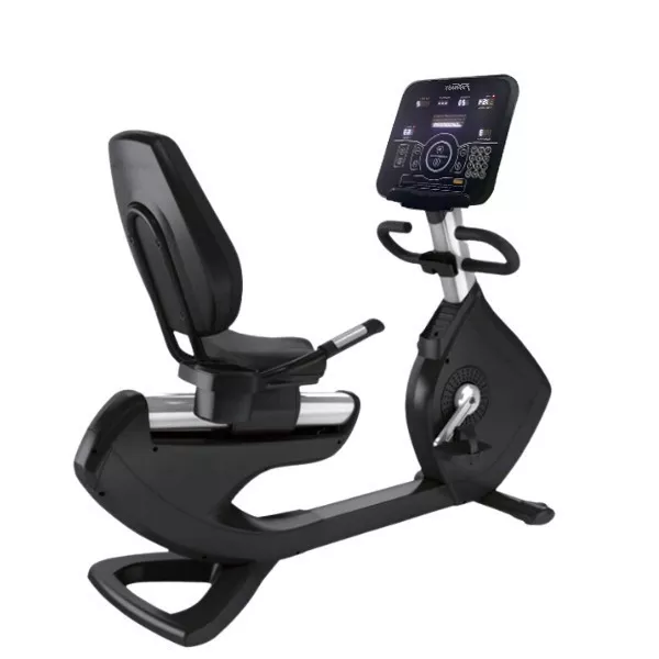 Commercial Recumbent Bike