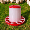 Small Poultry feeder