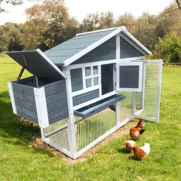 Grey eggs r us chicken coop