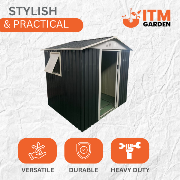 6x5 apex roof with windows shelves