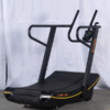 Loop 495 Curved Treadmill