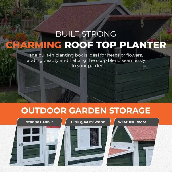 Princess Laya Chicken Coop