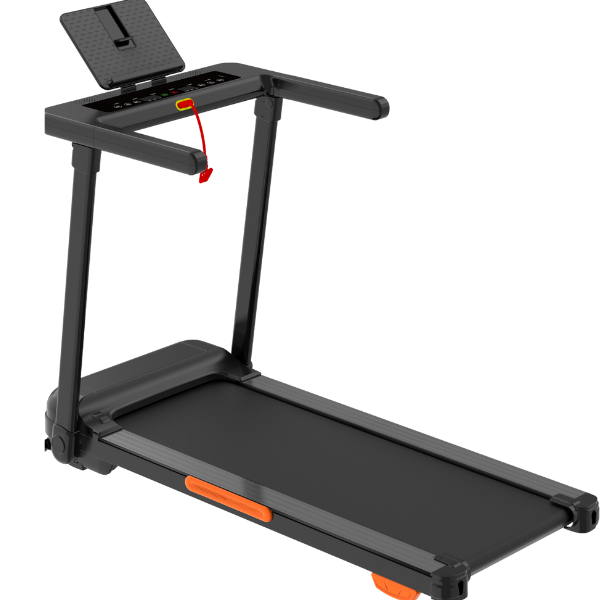 Agility 450