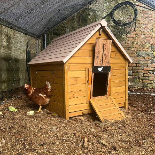 Sharon, Farmhouse Wanders, Cork