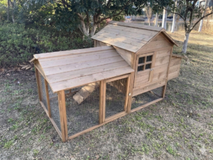 Chicken Coop