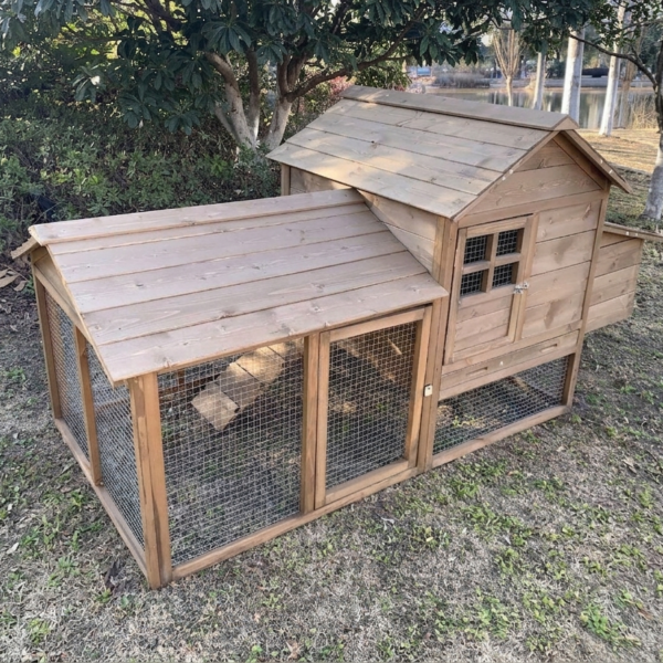 Chicken Coop