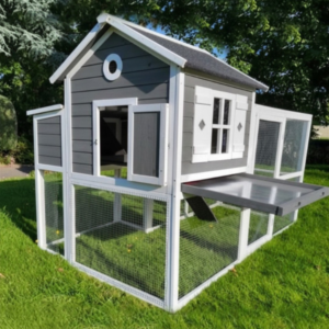 Chicken Coop